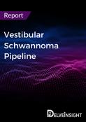 Vestibular Schwannoma Pipeline Report