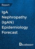 iga-nephropathy-igan-epidemiology-forecast-report