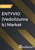 report image delveinsight