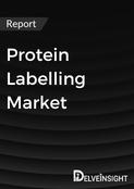 Protein Labelling Market Report
