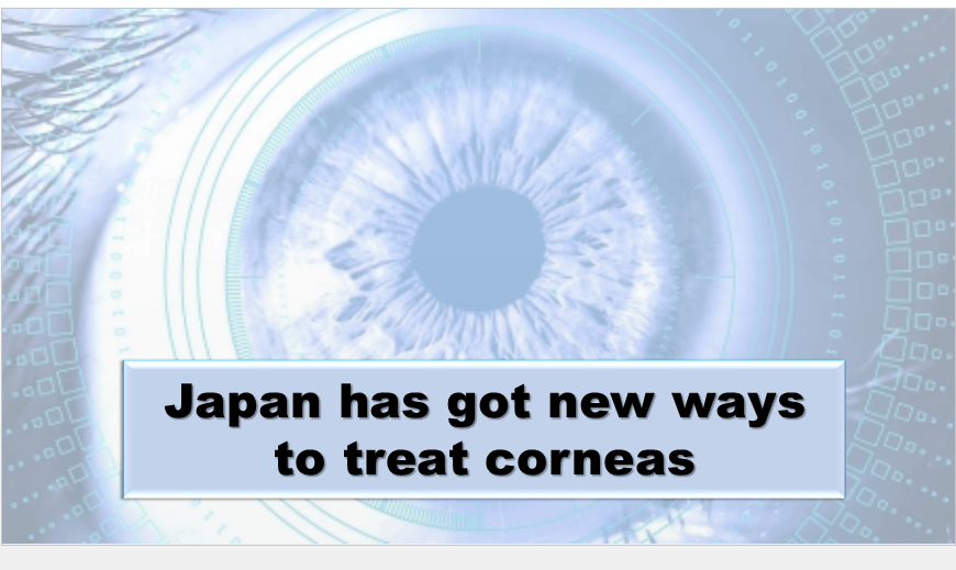 cornea