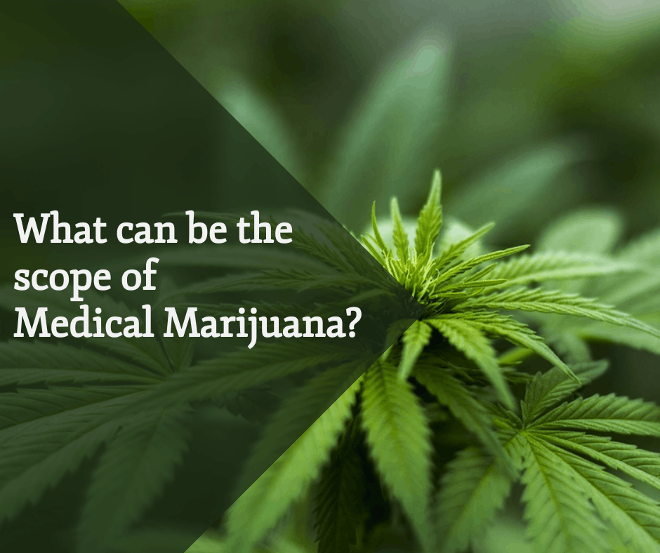 MEDICAL MARIJUANA