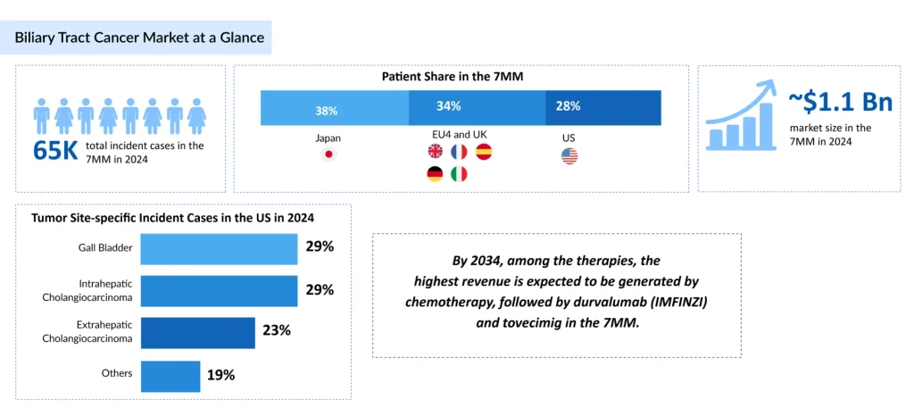 Biliary-Tract-Cancer-Market-at-a-Glance