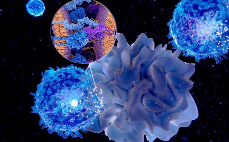 Lupus Nephritis Treatment Market Outlook and Emerging Therapies