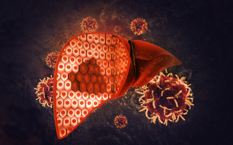 ppar-and-nox-agonist-for-primary-biliary-cholangitis-treatment