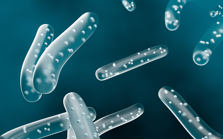 Probiotics Market Dynamics, Forecast , Key Companies and Evolving Trends