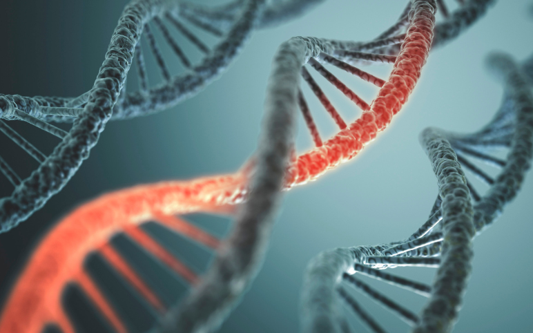 Polymerase Chain Reaction Market Outlook and Forecast