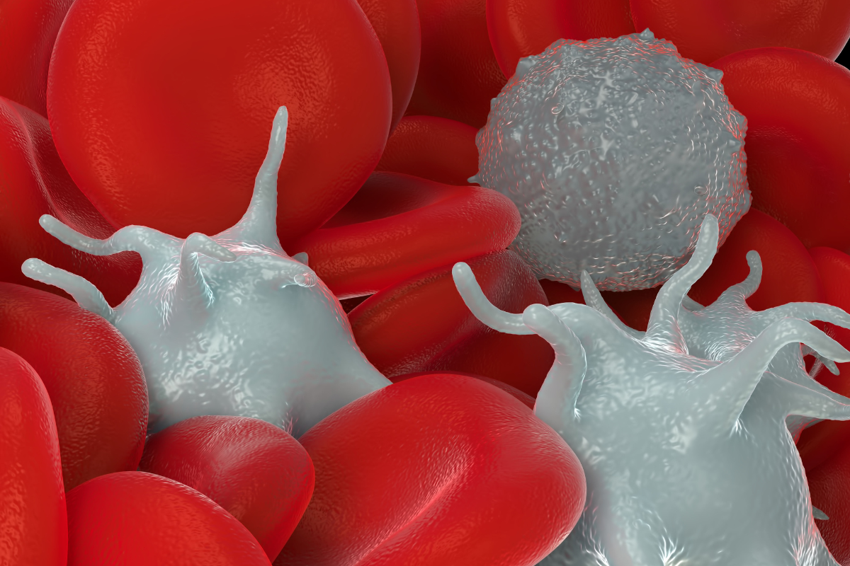 Golcadomide in B-Cell Lymphoma