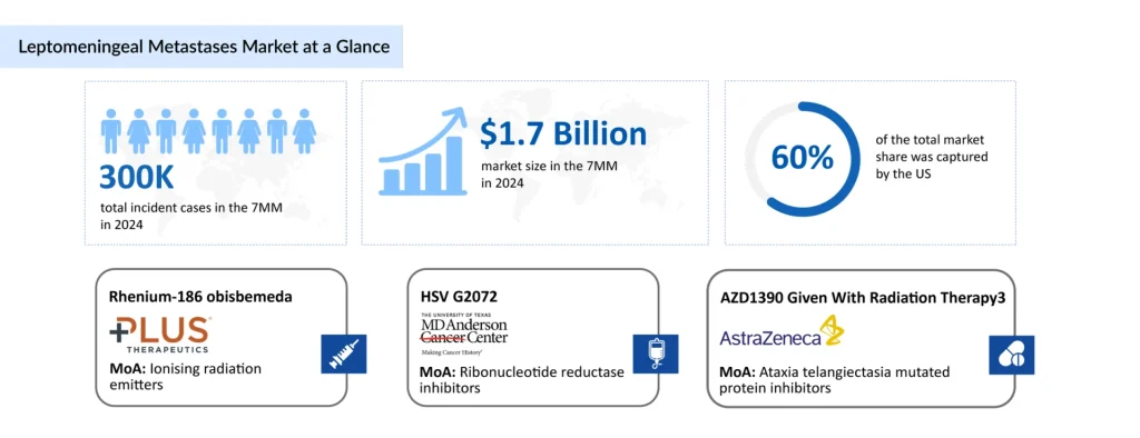 Leptomeningeal-Metastases-Market-at-a-Glance