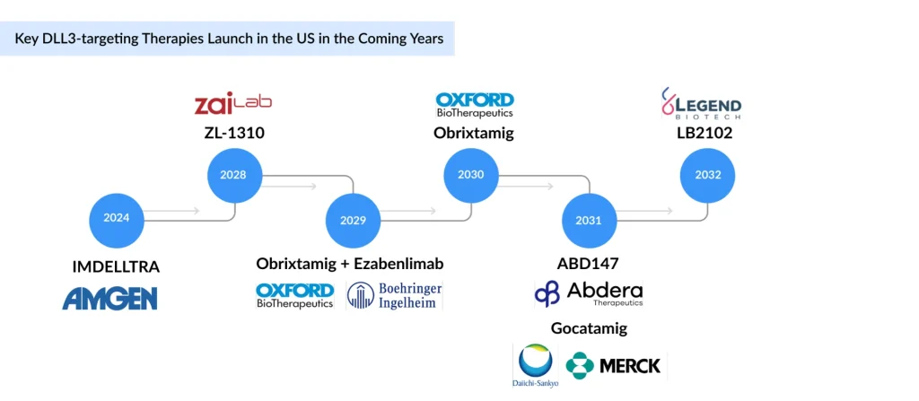 Key-DLL3-targeting-Therapies-Launch-in-the-US-in-the-Coming-Years