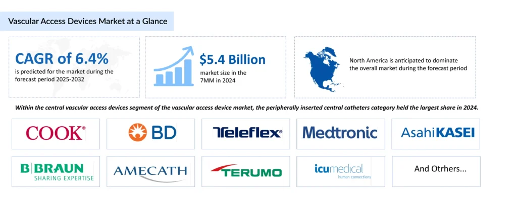 Vascular-Access-Devices-Market-at-a-Glance