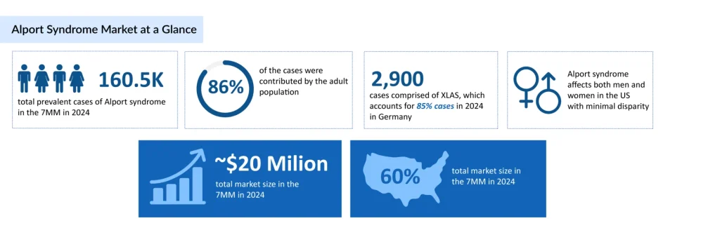 Alport-Syndrome-Market-at-a-Glance