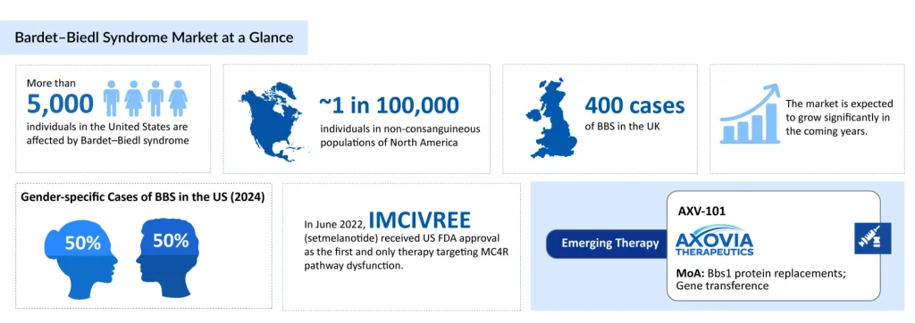Bardet&ndash;Biedl-Syndrome-Market-at-a-Glance