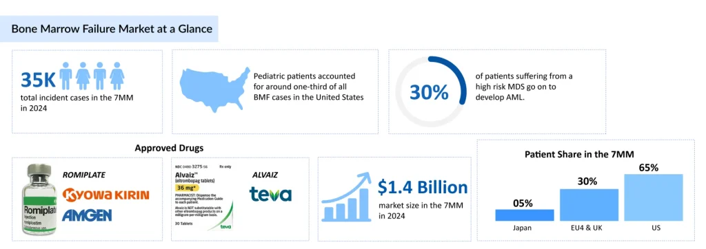 Bone-Marrow-Failure-Market-at-a-Glance