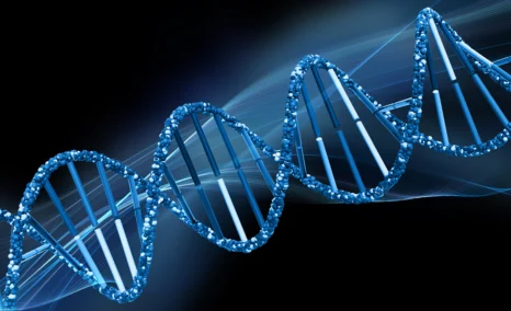 bardet-biedl-syndrome-treatment-landscape