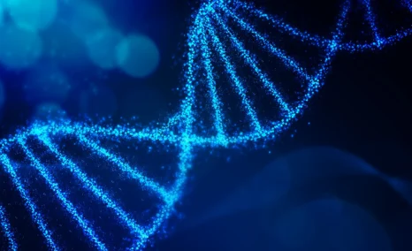 bardet-biedl-syndrome-treatment-landscape