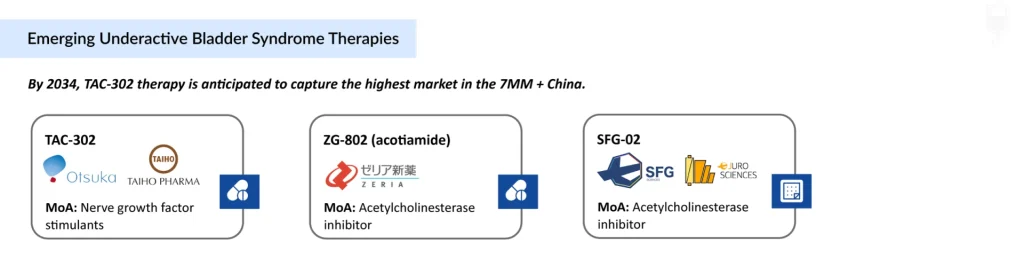 Emerging-Underactive-Bladder-Syndrome-Therapies