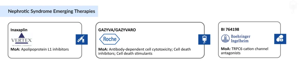 Nephrotic-Syndrome-Emerging-Therapies