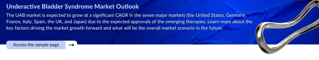Underactive Bladder Syndrome Market Outlook