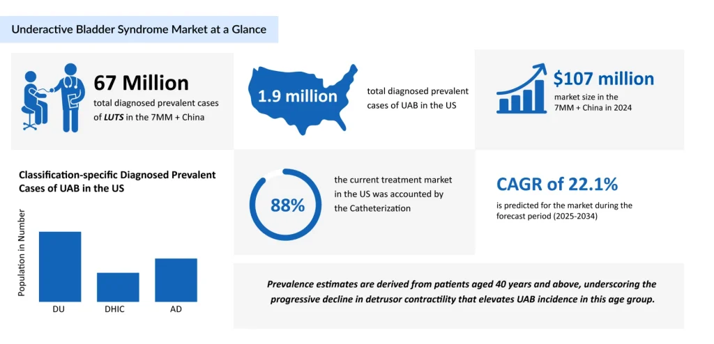 Underactive-Bladder-Syndrome-Market-at-a-Glance