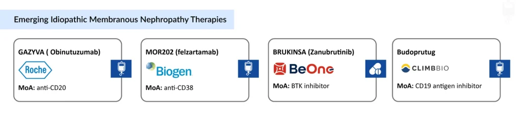 Emerging-Idiopathic-Membranous-Nephropathy-Therapies