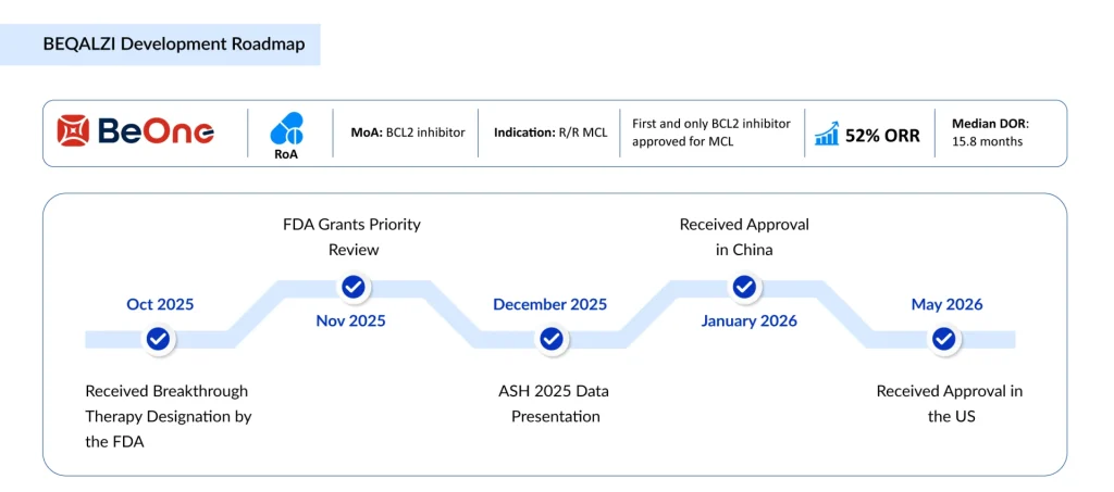 BEQALZI-Development-Roadmap