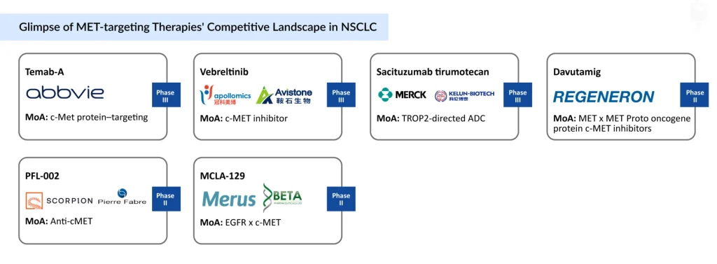 Glimpse-of-MET-targeting-Therapies-Competitive-Landscape-in-NSCLC