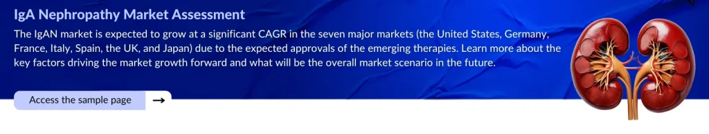 IgA Nephropathy Market Assessment