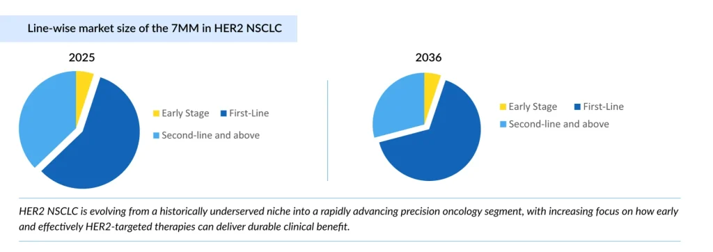 Line-wise-market-size-of-the-7MM-in-HER2-NSCLC