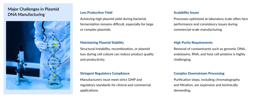 Major-Challenges-in-Plasmid-DNA-Manufacturing