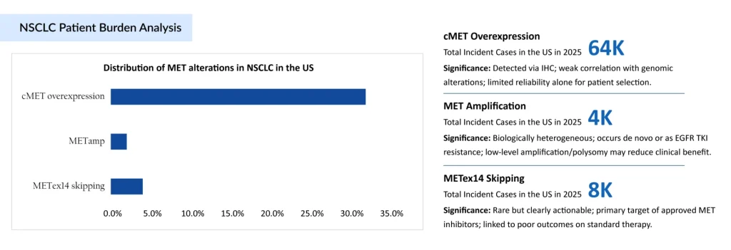 NSCLC-Patient-Burden-Analysis