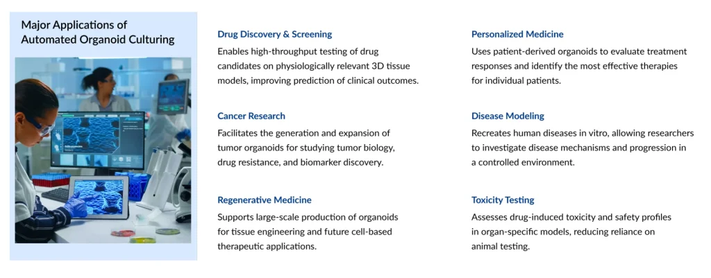 Major-Applications-of-Automated-Organoid-Culturing