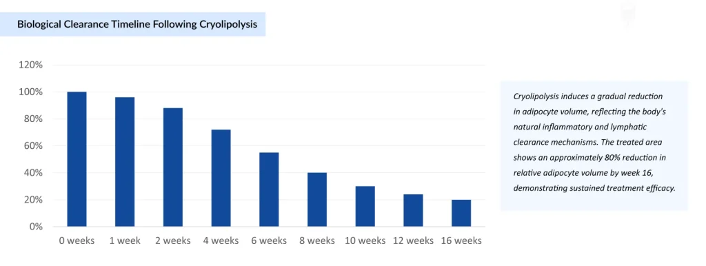 Biological-Clearance-Timeline-Following-Cryolipolysis