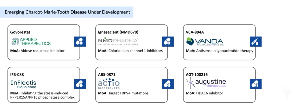 Emerging-Charcot-Marie-Tooth-Disease-Under-Development