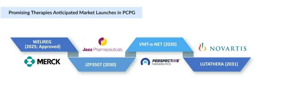 Promising-Therapies-Anticipated-Market-Launches-in-PCPG