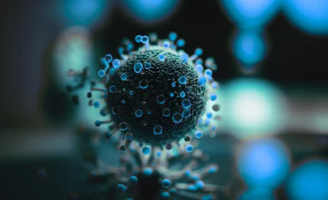 tyk2-inhibitor-for-autoimmune-disease