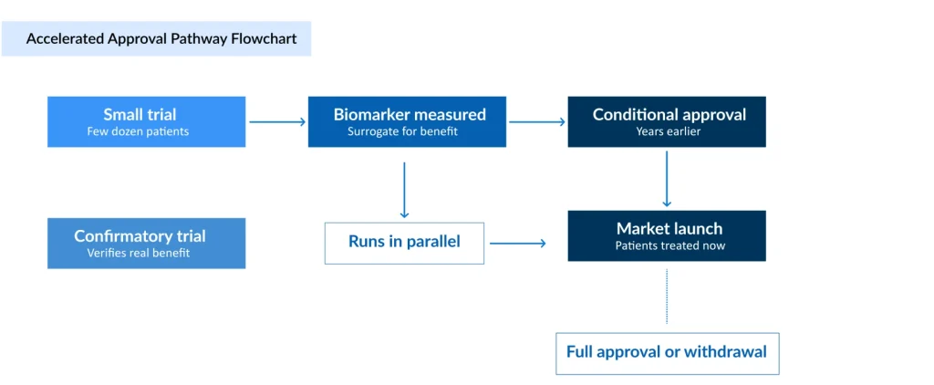 Accelerated-Approval-Pathway-Flowchart