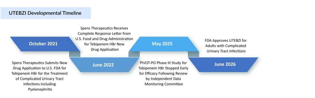 UTEBZI-Developmental-Timeline