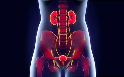 Urinary Tract Infections (UTIs)– How is it affecting the Globe?